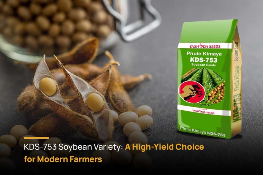 Best Fs Soybean Seed For High Yield